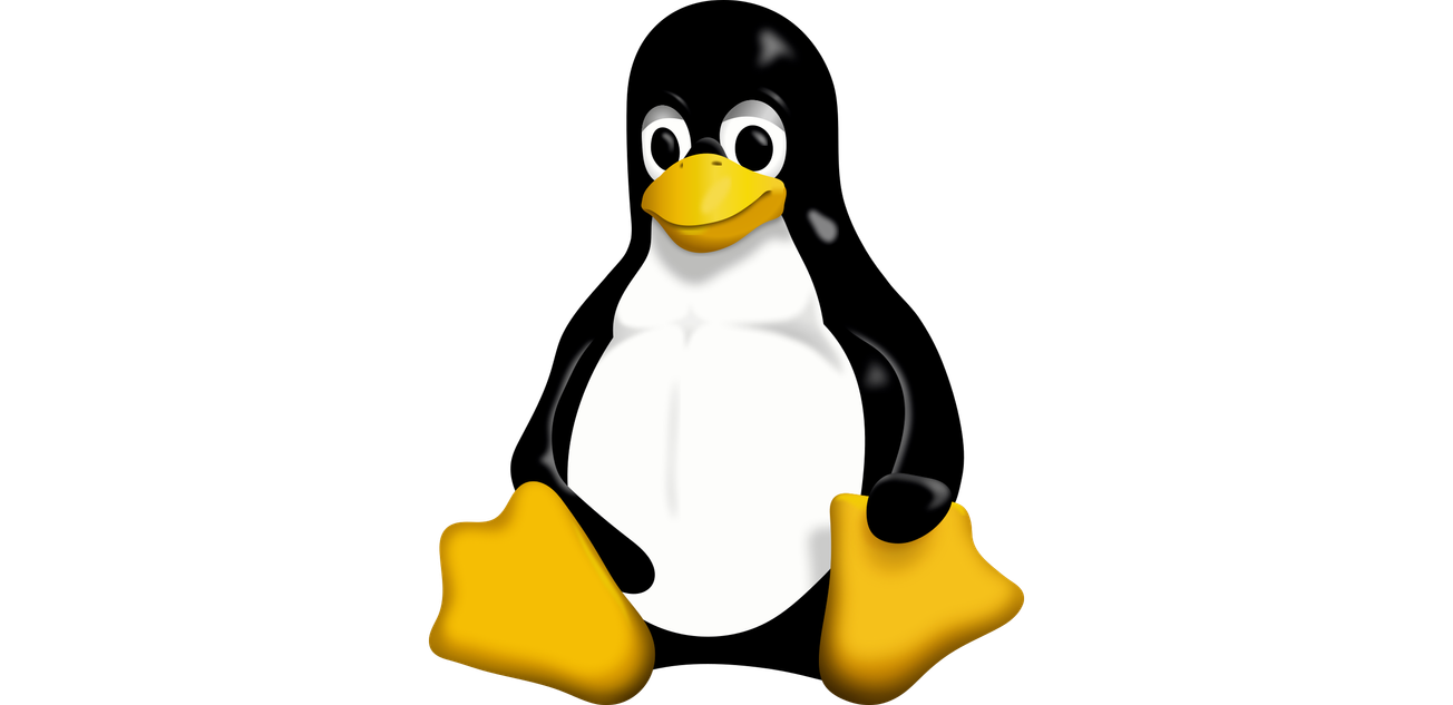 Les pionniers de la liberté : Linus et le manchot qui embrassa le monde