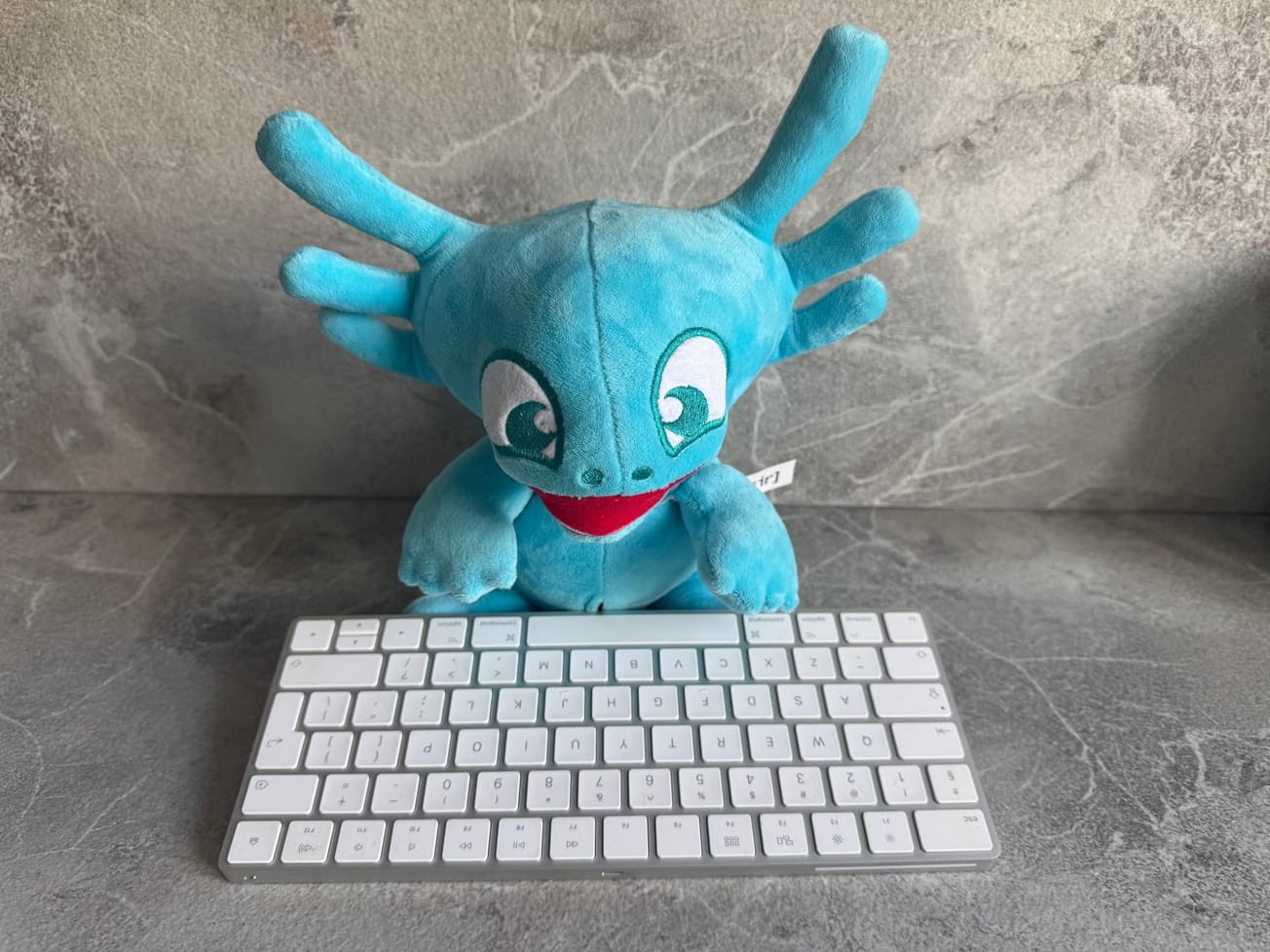 Axo, la peluche mascotte de SFEIR devant un clavier